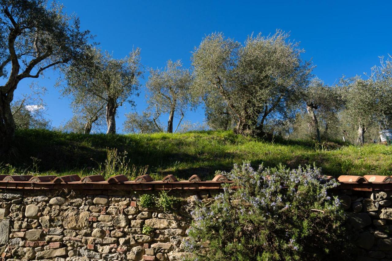 Alloggi In Villa Storica Pescia Zewnętrze zdjęcie